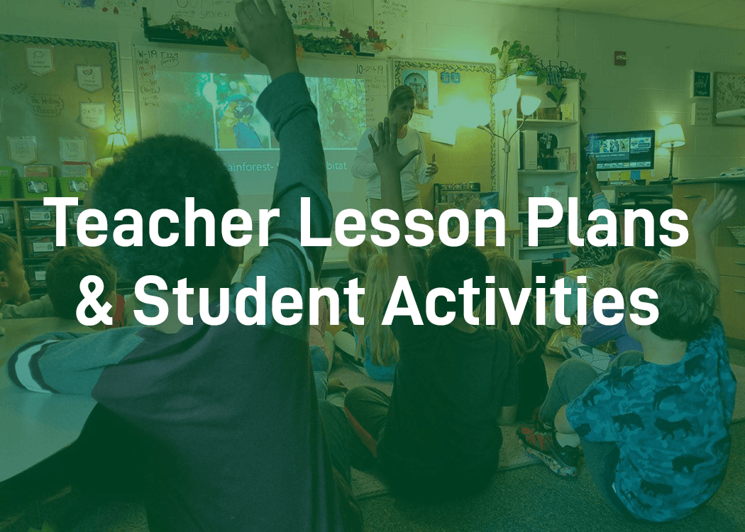 Teacher Lesson Plans