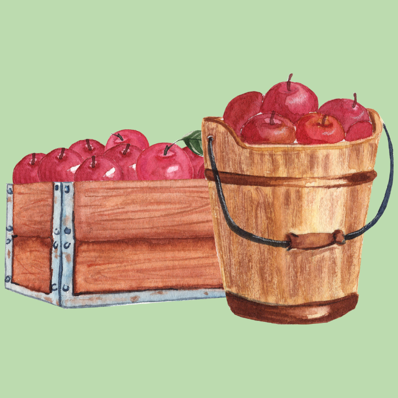 A crate and a bucket of apples.