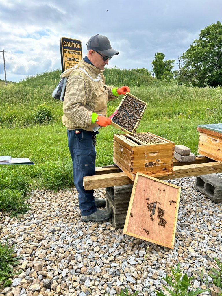 A man with a hive of bees
