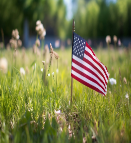 A small American flag in a field