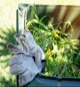Gloves in a yard