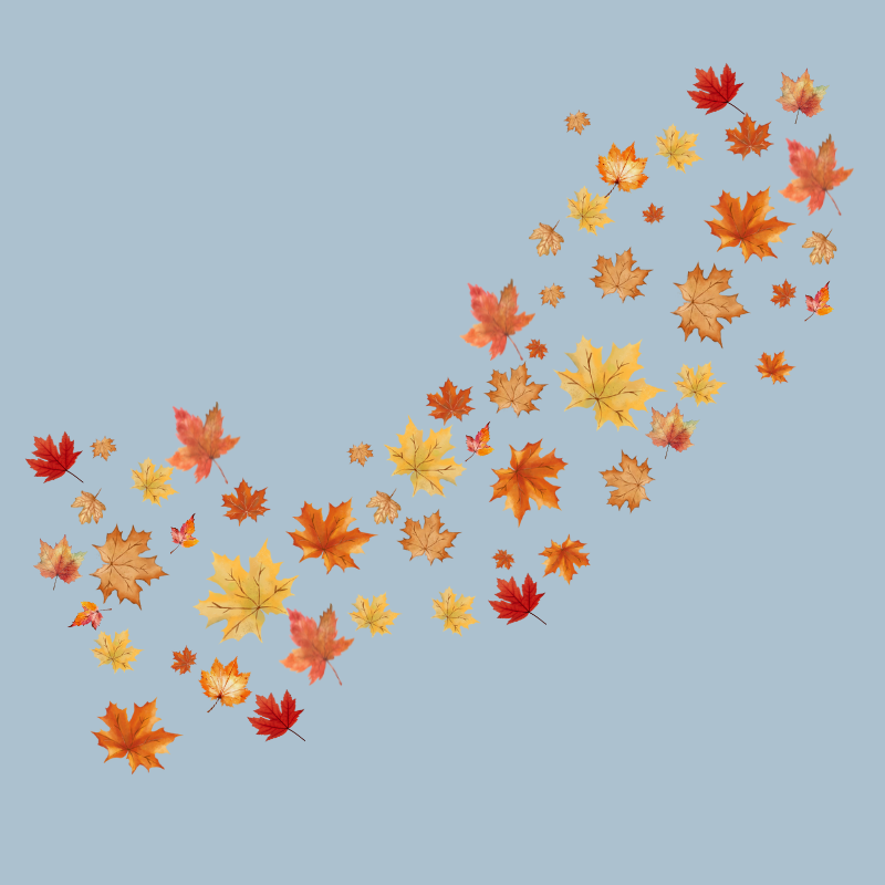 Autumn leaves on a blue backdrop