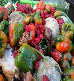 A pile of vegetables to be composted.